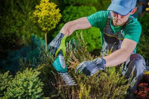 landscaping services McLain